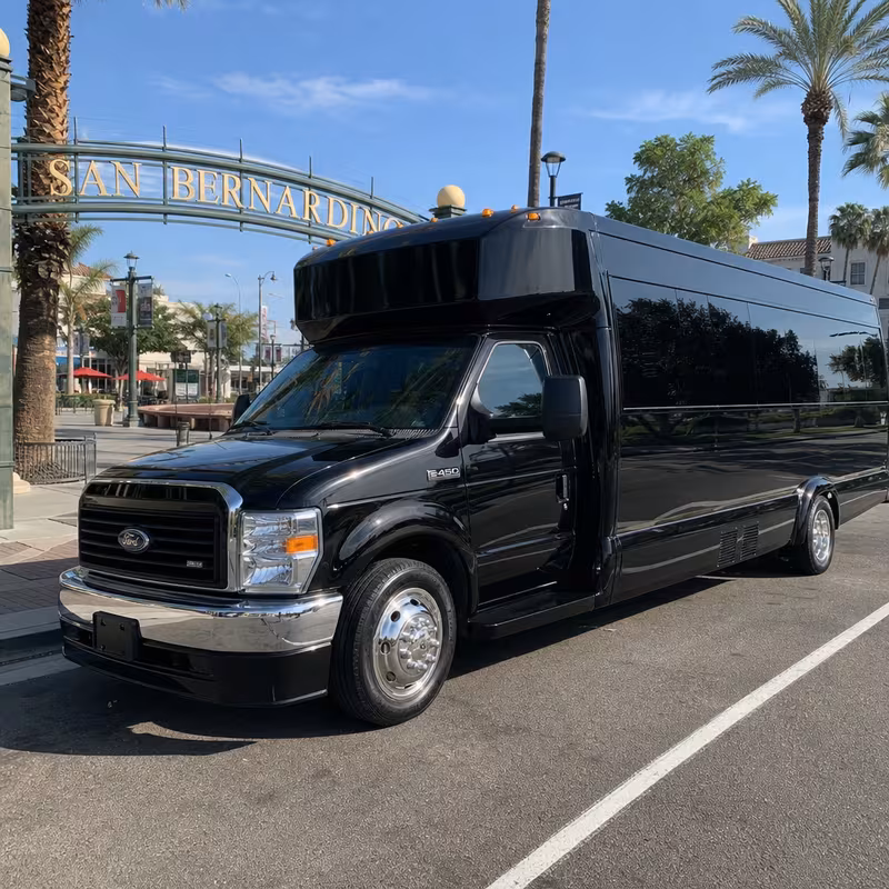 20 Passenger Party Bus