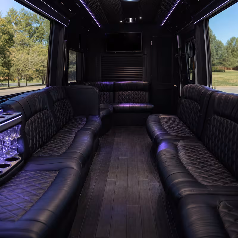 Passenger watching the San Bernadino scenery during a regional party bus road trip